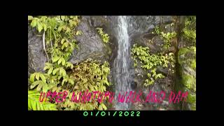 Upper Nihotupu 水库徒步01012022