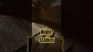 Night Stalker? What are they called at your place? share in the comment. #horrorstories #shortsvideo