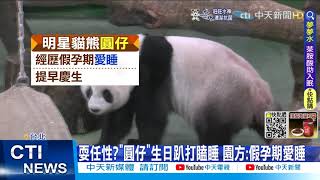 【每日必看】暑假首週末! 動物園.自來水園區人潮湧入@中天新聞CtiNews  @毛球烏托邦MaoUtopia  20220702