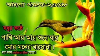 বাংলা গজল । পাখি আয় আয় আয় আয় শুনে যা মোর মনের বাসোনা । অসাধারণ একটা গজল