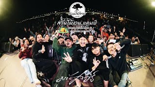 มนัสวีร์ | FULL CONCERT LIVE IN | #สวนไม้งามแคมป์1