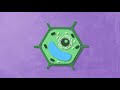 The 7,800 RPM Motor that Powers Everything You Do｜ATP Synthase