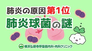 肺炎の原因第1位！肺炎球菌の謎！ワクチン接種するべき？大人と赤ちゃんの発症リスク(横浜弘明寺呼吸器内科・内科クリニック)