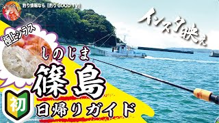 【篠島】サクッと1時間３０分で移動。　※日帰りで篠島釣行。『緊急事態宣言前】