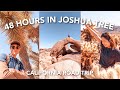 48 HOURS IN JOSHUA TREE (what to do and where to stay)