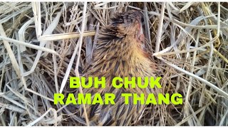 #RAMAR THANG. BUHCHUK KAM DAN THA LUTUK#