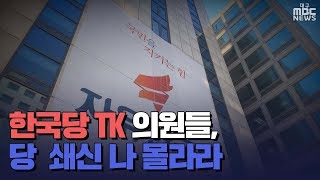 [대구MBC뉴스] 한국당 TK 의원들, 당 쇄신 나 몰라라