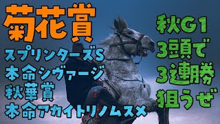 【2021菊花賞の予想】秋G1の3連続的中に用意した買い目はこれ！