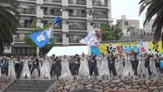 ふくのやまよさこい2016　舞龍人＆ななまる隊（中央公園会場）