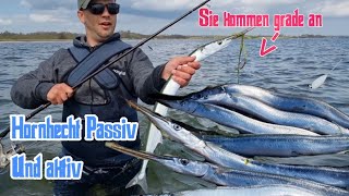 Hornhechte auf Rügen Teil 2 es geht ab #angeln #fishing #rügen #hornhecht