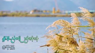 [부산에반하다 10회] 구포 편