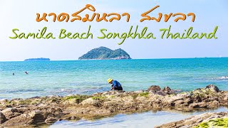 [🇹🇭4K]หาดสมิหลา สงขลา//🏖Samila Beach Songkhla Thailand