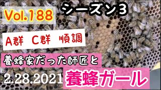 Vol.188 187の続きです　平和な内検。見学にWTNBさん来ました