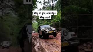 Way of Glass Bridge Wayanad #travel #glassbridge #wayanad #horrible #kerala #keralatourist