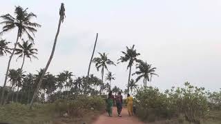 Beauty of Paravur