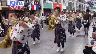 高知よさこい祭り2016　本祭二日目　和建設しあわせ踊り隊　帯屋町演舞