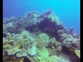 day4 fujikawa maru sankisan maru hoyo maru