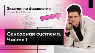 Экзамен по физиологии | СЕНСОРНАЯ СИСТЕМА. Часть 1