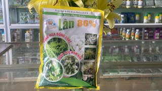 Lân 86 đánh thức mầm hoa,ra hoa đồng loạt#caytrong#phanbon#cayantrai