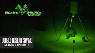 Elusive Wildlife S1:E2: Double Dose of Swine | Doubled up on WILD Texas Hogs | Night Bowhunting Hogs