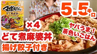 【大食い】茶色いごはんは最高！どて煮麻婆丼に揚げ餃子をトッピングして優勝した回