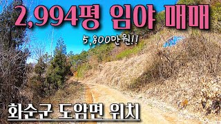 [전남임야매매] 매물번호#299 5,800만원 임야 매매 ! 화순군 도암면 원천리 임야 시골땅 촌땅 토지 매매