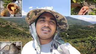 A Day in the Field: Collecting Fresh Organic Produce | YK Yim Vlogs