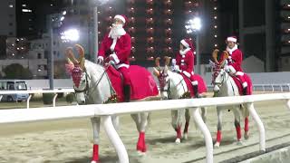 2022ホワイトクリスマス賞の本馬場入場（川崎競馬場）