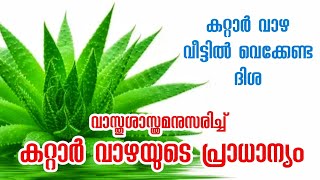 കറ്റാർ വാഴയുടെ ഗുണങ്ങൾ | Benefits of Aloe vera | Vastu | Vastu tips | Astrolology | Plants | Tips