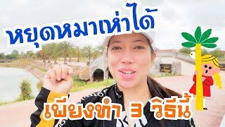 3เทคนิค ควบคุม​การเห่าของสุนัข สุนัขเห่าไม่หยุด  (บางแก้ว​ชอบเห่า ep.50 )