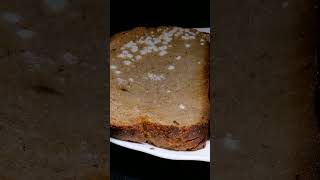 Bread Spoilage Timelapse 🍞🤍