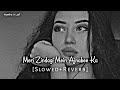 Meri Zindagi Mein Ajnabee Ka - Ajnabee || Slowed And Reverbed 🖤