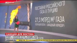 «Турецкий поток» попал под действие закона о санкциях против Анкары