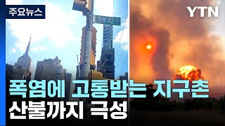 폭염에 고통받는 지구촌...산불까지 극성 / YTN