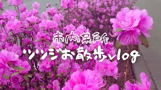 【お散歩】ツツジが綺麗✿北見某所をおさんぽしました♪