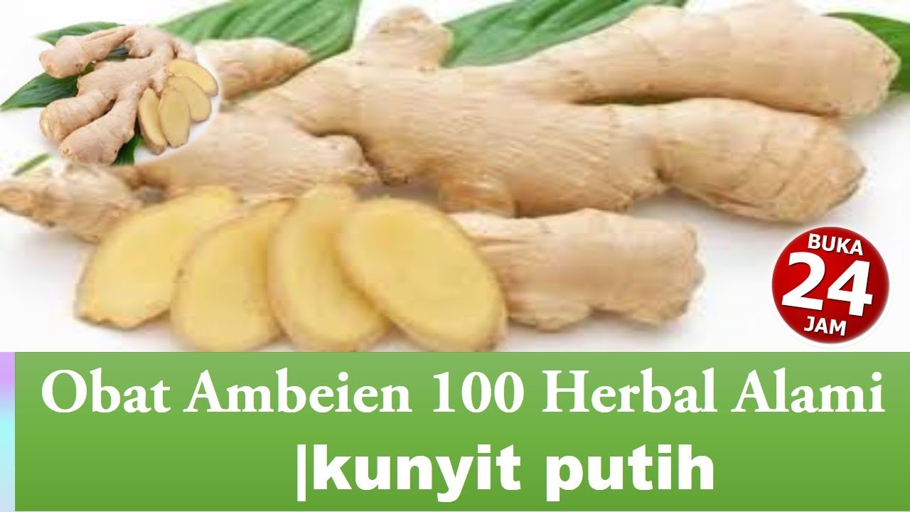 Obat Ambeien 100 Herbal Alami - YouTube