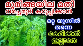 മുരിങ്ങയില മതി നരച്ച മുടി കറുപ്പിക്കാൻ കെമിക്കൽ ഇല്ലാതെ |100% Natural  Hair Dye