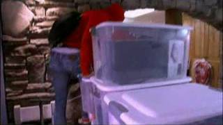 Little People, Big World - Sibling Scuffle