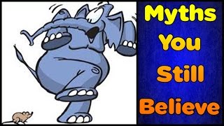 5 myths you still believe are true