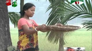 Susang Durgapur - সুসং দুর্গাপুর , Netrokona Tv news (Channel i)