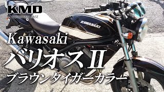 Kawasaki バリオスⅡ ブラウンタイガー・ノジママフラー カスタム仕様のご紹介です！/ カスタムネイキッド専門店 KMD YOKOHAMA BASE