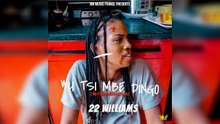 22 WILLIAMS - Wu tsi mbe dingo ( Clip Video Officiel ) 4K