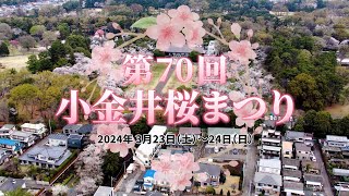 「第70回小金井桜まつり×名勝小金井（サクラ）名勝指定100周年」記念PV