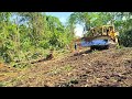 Caterpillar D6R XL Dozer Operator Widening Forest To people's Plantations