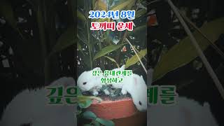 [운세] 2024년 \