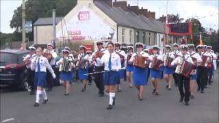 Bruces True Blues Accordion Band (The Movie) 2016