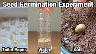 (Eng Sub) 씨앗을 상토에 바로 안 심고 발아 시키고 심는 이유?? (feat.단호박씨앗)ㅣ발아실험ㅣseed germination experiment