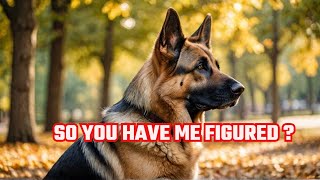 The Surprising Truth About German Shepherds Nobody Tells You