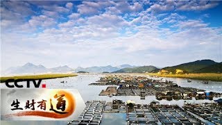 《生财有道》 20180410 福建霞浦：如画海滩多样财 | CCTV财经