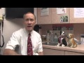 How to Treat Dogs With Pneumonia How to Treat Dogs With Pneumonia